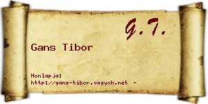 Gans Tibor névjegykártya
